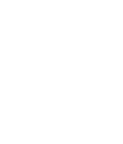 非车险保单查询