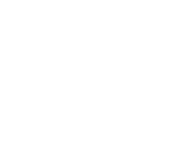 车险保单查询